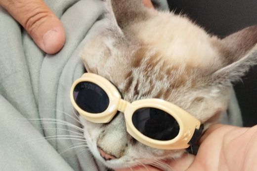 diseño sin título (59)