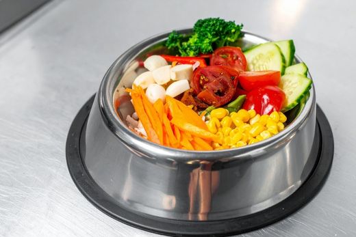 diseño sin título (64)