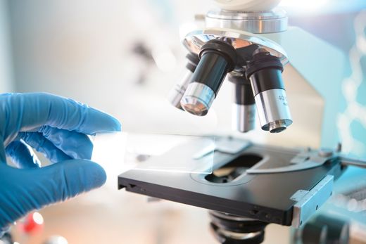 diseño sin título (67)