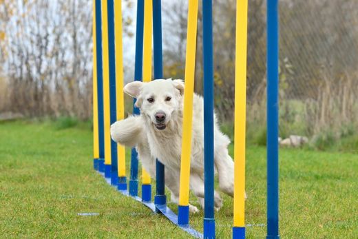 diseño sin título (76)