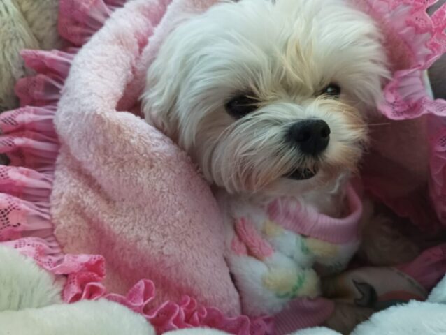 whatsapp image 2025 08 25 at 16.37.28 (3)