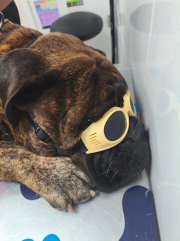 whatsapp image 2025 09 23 at 13.52.05