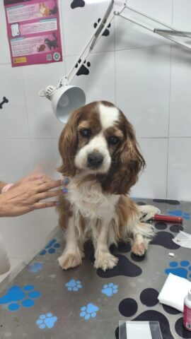 whatsapp image 2025 09 26 at 12.57.44